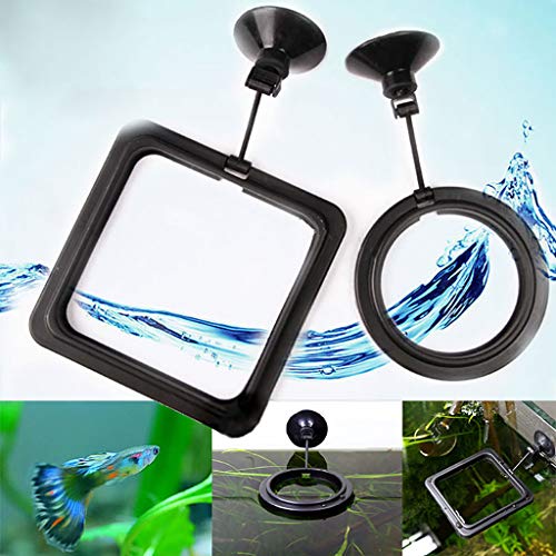 image for Onefa Fish Food Feeder Aquarium Fish Tank Feeding Ring Station Floatin