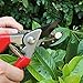FLORA GUARD Professional Hand Pruner-Bypass Pruning Shears with Safety Lock, Tree Trimmers Secateurs, Garden Shears, Clippers for The Garden
