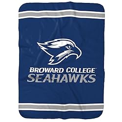 Broward College Primary Logo Stripes Sherpa