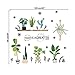 Cartoon Cactus Green Plants Leaves Pastoral Style Wall Stickers Wall Decal Vinyl Removable Art Wall Decals for Bedroom Living Room Nursery Room Children's Bedroom