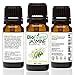 BioFinest Jasmine Essential Oil - 100% Pure Undiluted - Therapeutic Grade - Premium Quality - Best For Aromatherapy, Deep Sleep, Stretch Marks and Dry Skins - FREE E-Book (10ml)