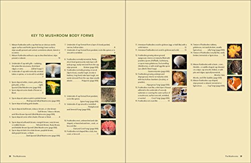 California Mushrooms: The Comprehensive Identification Guide - Thumbnail 3