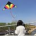 Huge Rainbow Delta Kites for Kids and Adults-60 Wide with 9.5' Long Tail- Easy Flyer - Kit Line and Swivel Included- Good for Outdoor Games and Summer The Beach Toys for Kids (1pack)