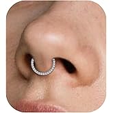 limerencia Titanium Nose Ring Hoop - 16G Hypoallergenic CZ Gems Helix Cartilage Earring for Women Men, Hinged Segment Septum Lip Rings Conch Rook Tragus Daith Earrings, Piercing Jewelry