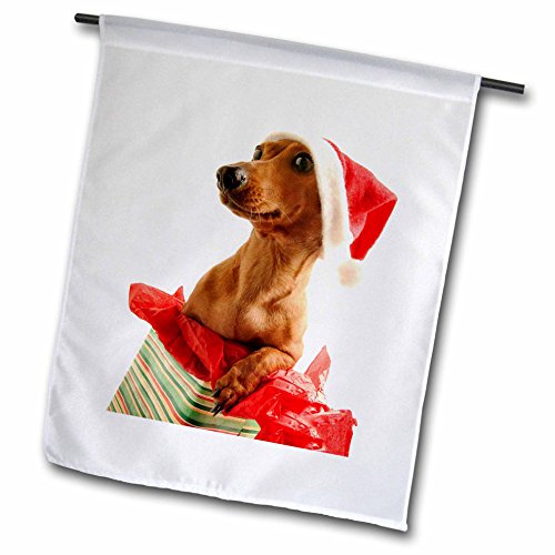 3dRose fl_4575_1 Santa Dog, Garden Flag, 12 by 18-Inch
