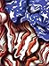Freedom Flag Pinewood Derby Car Body Skin