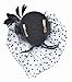 Fascinator on Hairclip for Women Mesh Feather A-Black