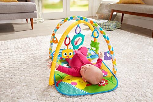 mini gimnasio fisher price