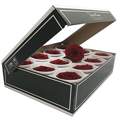 Preserved roses 12 pack small head roses color Red-01