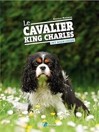 Le  cavalier King Charles