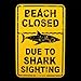 Beach Closed Due to Shark Sighting Sign