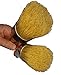 2 for 1 Chalk Painter's Choice Wax Brushes. New Brushes Will Never shed.
