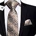 Hi-Tie Men Champagne Gold Black Paisley and Floral Tie Handkerchief Necktie with Cufflinks and Pocket Square Tie Set
