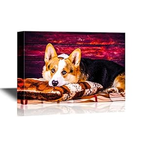 Dogs Breeds Canvas Wall Art - Welsh Corgi Pembroke Dog - Gallery Wrap Pet Art for Modern Home Art | Ready to Hang - 12x18 inches