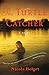 The Turtle Catcher