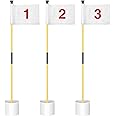 KINGTOP Golf Flagstick Mini, Putting Green Flag for Yard, All 3 Feet, Double-Sided Numbered Golf Flags, Golf Pin Flag Hole Cup Set, Portable 2-Section Design, Gifts Idea