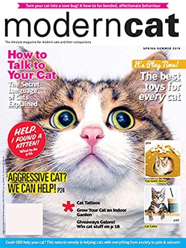 Modern Cat