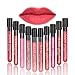 Neverland Beauty 10Pcs/Set Color Waterproof Liquid Makeup Lip Pencil Matte Lipstick Lip Gloss Super Long Lasting With Gift Case Bag (SET-SMT)