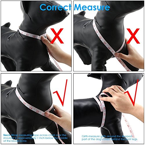 image for Pet Club No Pull Adjustable Dog Vest Harness and Leash Set for Walking