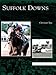 Suffolk Downs by 