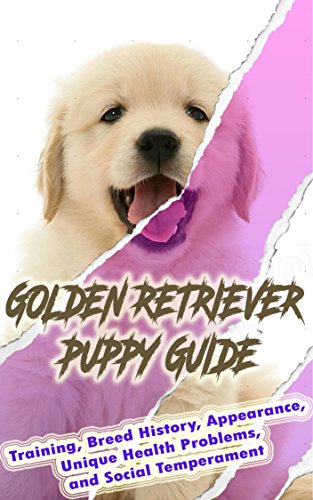 Golden Retriever Puppy Training Guide Training Breed History