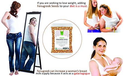Fenugreek Seeds Organic 1lb - BULK PRICE - Thumbnail 4