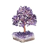 Jovivi Natural Amethyst Healing Crystal Money Tree