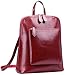 HESHE Backpack for Women Leather Backpack Purse Convertible Designer Bag Back Pack for Work Everything Bag