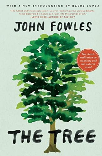Amazon.com: Mantissa (Back Bay Books): 9780316290272: Fowles, John
