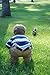 Dapper Snappers Made in the USA Baby & Toddler Adjustable Belt-Spiders