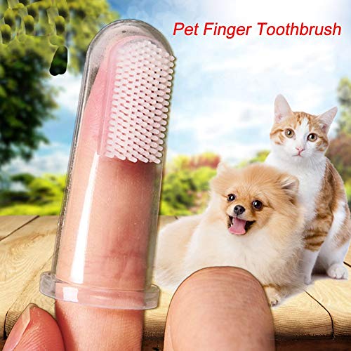 Brush Dog Teeth - 10pcs Set Soft Clear Tooth Cleaner Teeth Cleaning Pet Silicone Finger Toothbrushes - Electronics Accessories Beauty Toys Sports Garden Home Girls Cell Computers Phones Events