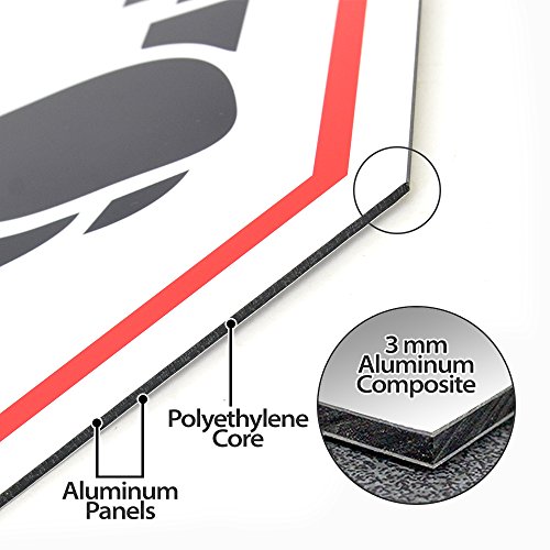 Video Surveillance Signs Security Sign Video Surveillance Alert - Intrusion Prevention Effect 12 x 12 Octagon Aluminum Sign - Thumbnail 2