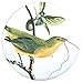 Buttonsmith Audubon Birds Magnet Set - Set of 4 1.25