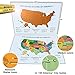Scratch Off Map of The World + Premium Scratch Off Map of The United States. 2x1 Poster. Deluxe Gift for Travelers. Size 24x16’’ + 17x13’’. PANGEA