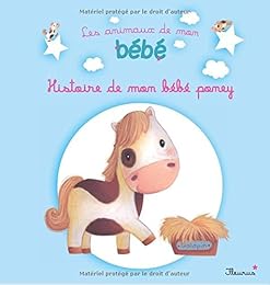 Histoire de mon bébé poney