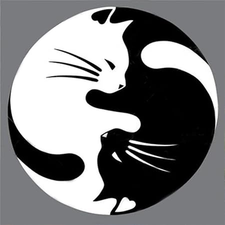 Chat Noir Et Blanc Diy 5d Diamant Broderie Peinture Au Point