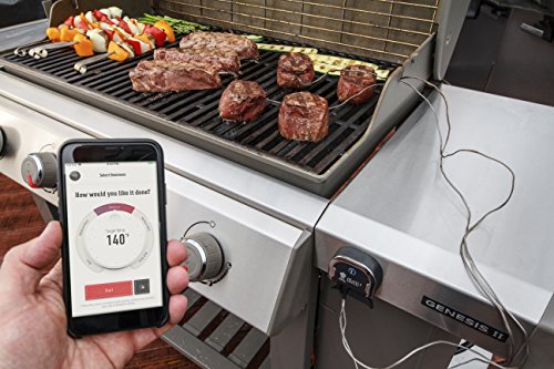 Weber iGrill 3 Thermometer