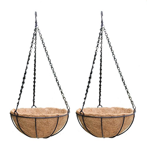 PERTTY 2 Pack Metal Hanging Planter Basket with Coco Coir Liner, 8