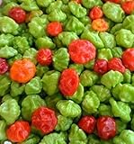 AJI DULCE #1,Pepper Seeds,Known As ajicitoo,aji