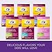 Wellness Natural Pet Food Complete Health Natural Dry Small Breed Puppy Food, Turkey, Salmon & Oatmeal, 12-Pound Bag