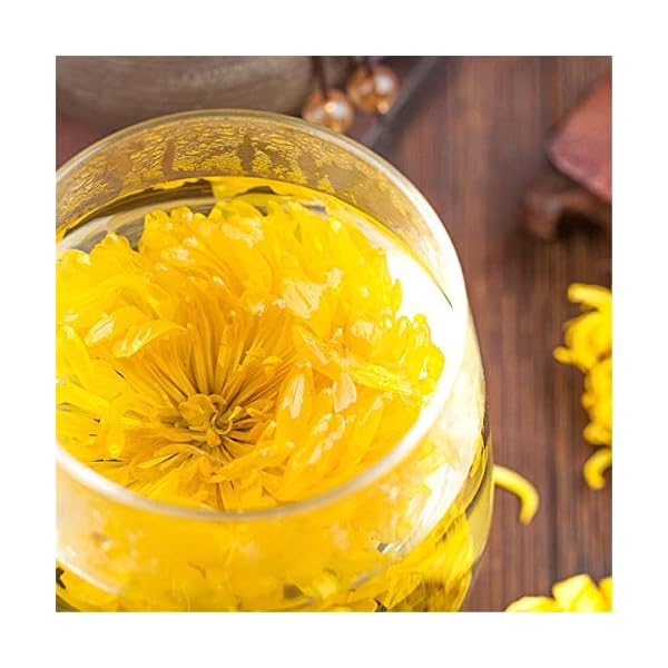 Chinesischer Kräutertee Bio Gelber Chrysanthementee Neuer Dufttee Grüner Tee Gesundheitswesen Blumentee Hochwertiges… – Bild 7