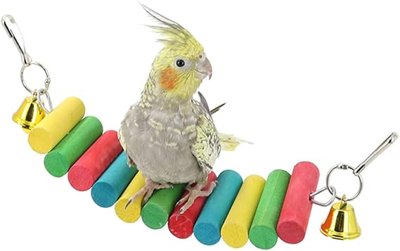 pet bird supply store