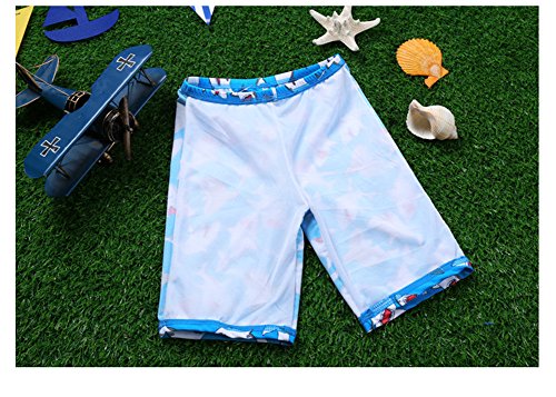 Monvecle Little Boys' 3-Pieces Shark Rash Guard Swimsuits UPF 50+ Sun Protection Swim Set Blue 7-8Y