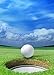 Lyly County Golf Photo Background 5x7ft Blue Sky Sports Photography Backdrops Club Studio Props Wall PB816