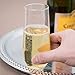 Poolside Unbreakable Stemless Plastic Champagne Glasses ~ Elegant Reusable Glassware ~ Sophisticated Design ~ Shatterproof Dishwasher Safe Indoor/Outdoor Barware ~ Set of 4