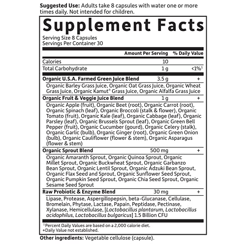 GARDEN OF LIFE PERFECT FOOD – RAW 240 CAPSULES [PACK OF 2]