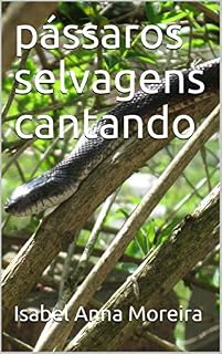Livro pássaros selvagens cantando