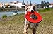 RUFFWEAR - Hydro Plane High-Floating, Soft Foam Disc Dog Toy, Red Currant