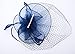 Cizoe Fascinators Hats 20s 50s Hat Pillbox Hat Cocktail Tea Party Headwear with Veil for Girls and Women(D-navy)