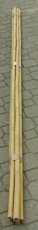 Cañas de bambú para sujetar hortalizas y otros usos, 150 cm ...
